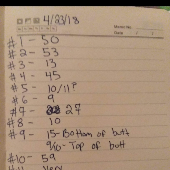 CUSTOM MADE CORSET - Picture 8 of 8